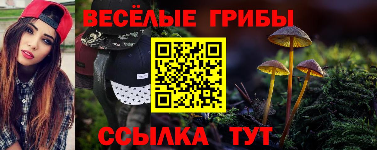 Сегежа  Галлюциногенные грибы Magic Shrooms  Вход с VPN 